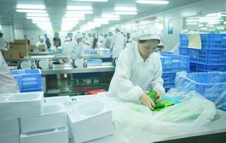 他白手起家 誠信經營,要把中國之美傳遞給世界