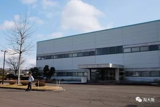 深扒日本化妝品中的 大陸版 國際版 和 日本版